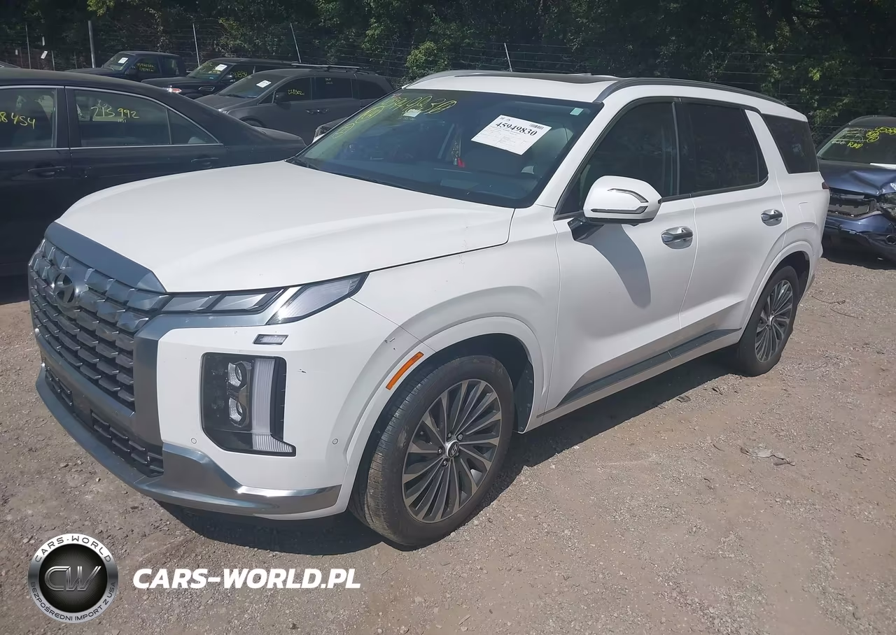 2025 Hyundai Palisade Calligraphy VIN:KM8R7DGE2SU887264 - 2