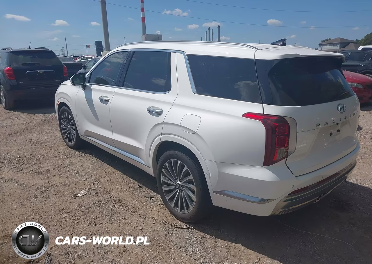 2025 Hyundai Palisade Calligraphy VIN:KM8R7DGE2SU887264 - 3
