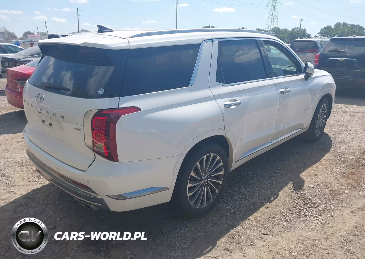 2025 Hyundai Palisade Calligraphy VIN:KM8R7DGE2SU887264 - 4