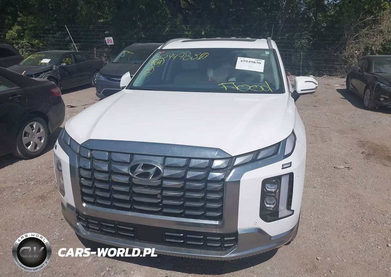 2025 Hyundai Palisade Calligraphy VIN:KM8R7DGE2SU887264 - 6