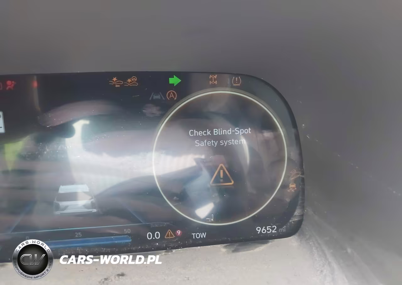 2025 Hyundai Palisade Calligraphy VIN:KM8R7DGE2SU887264 - 7