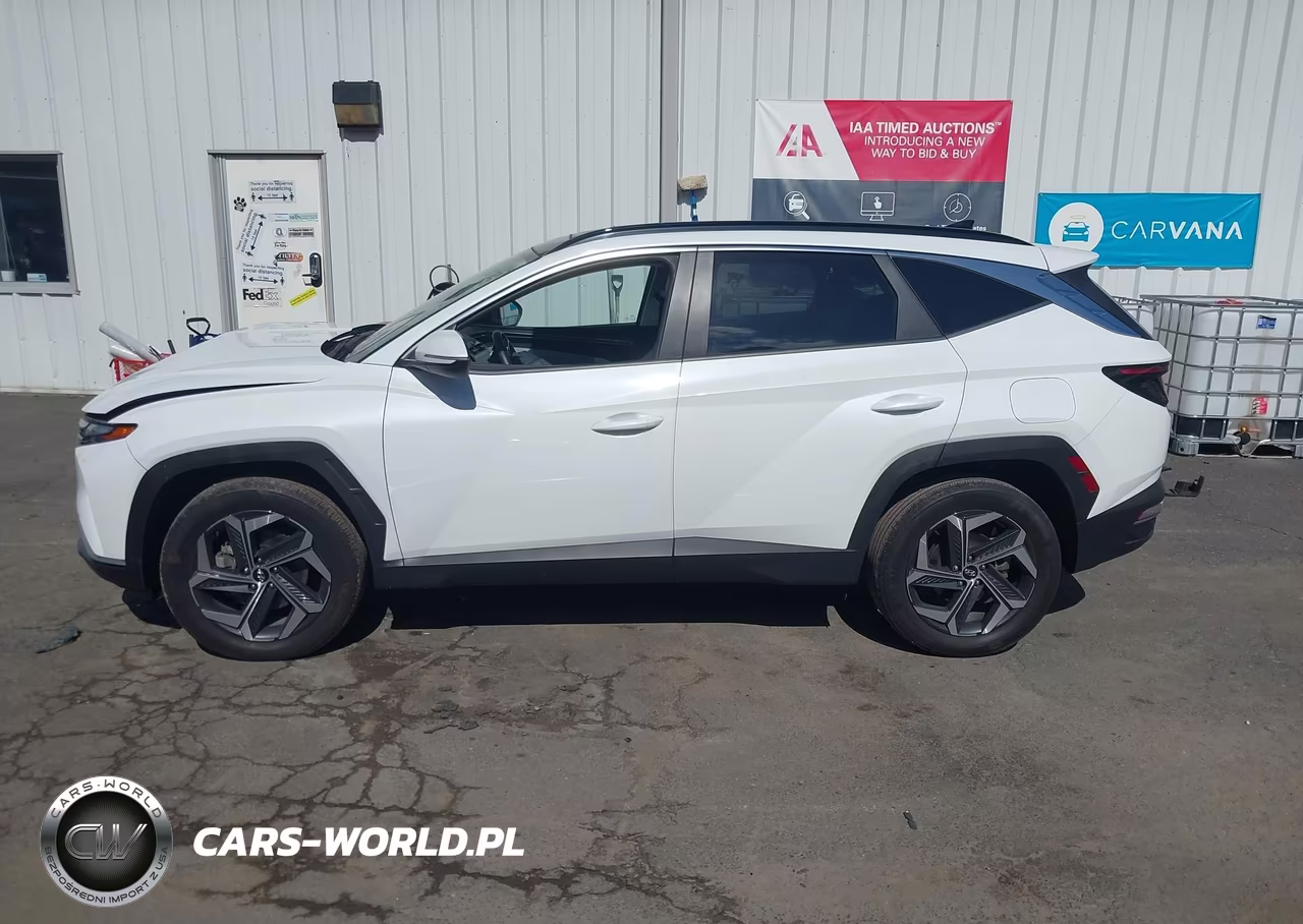 2024 Hyundai Tucson Hybrid Sel Convenience VIN:KM8JCCD13RU215616 - 15