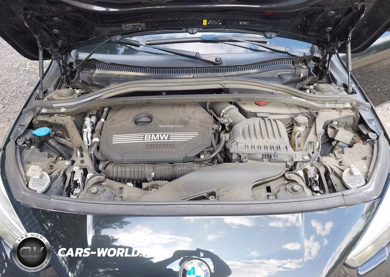 2021 BMW 228I Gran Coupe xDrive VIN:WBA73AK08M7G85371 - 10