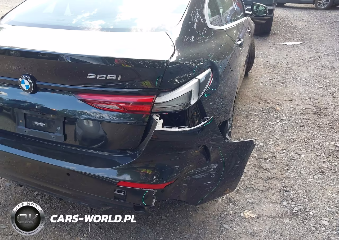 2021 BMW 228I Gran Coupe xDrive VIN:WBA73AK08M7G85371 - 17