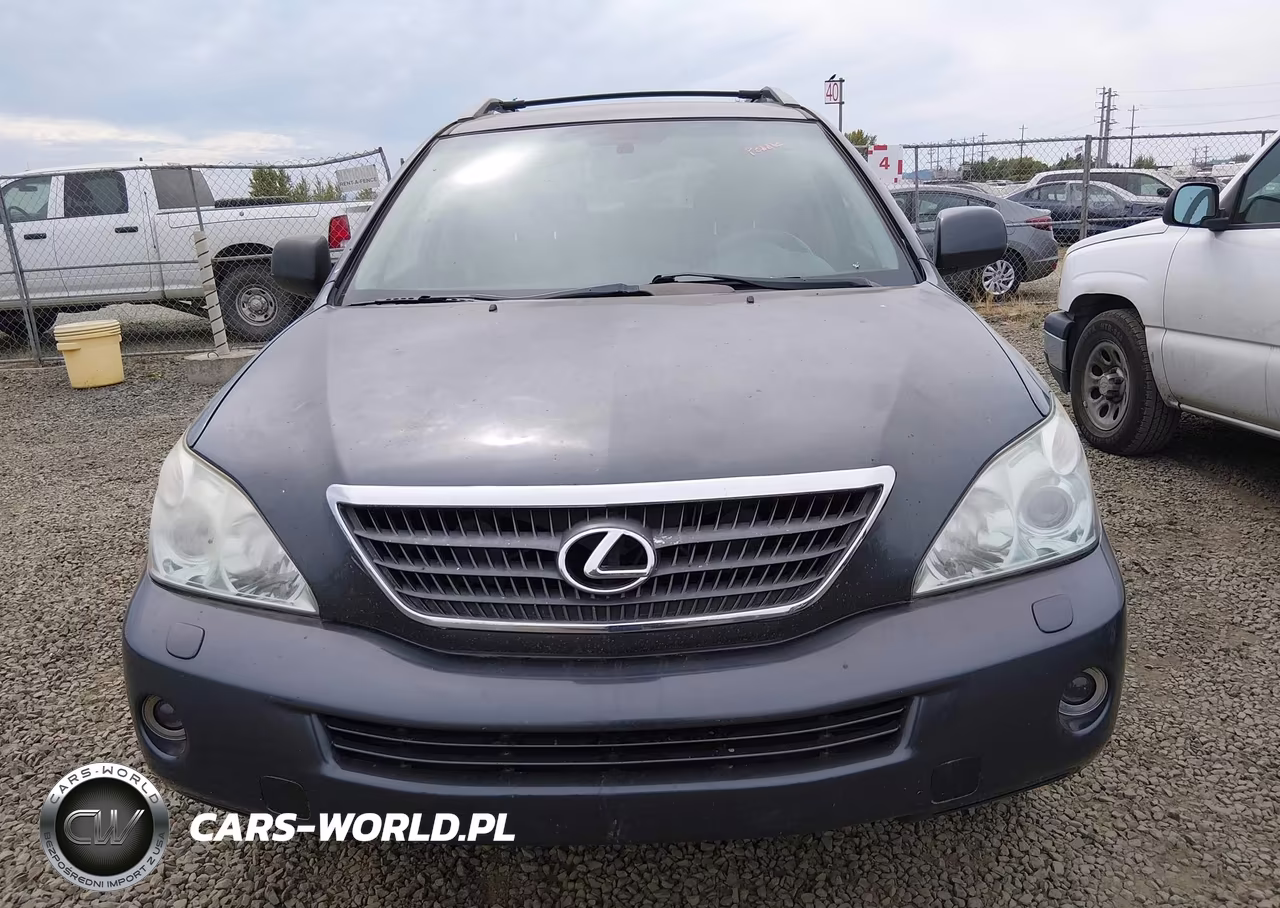 2006 Lexus Rx 400H VIN:JTJHW31U060030741 - 6