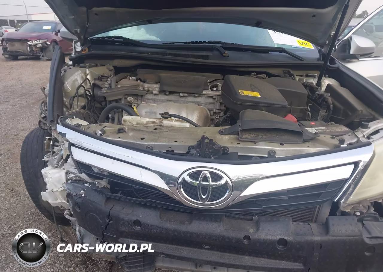 2014 Toyota Camry Xle VIN:4T1BF1FK1EU806494 - 10
