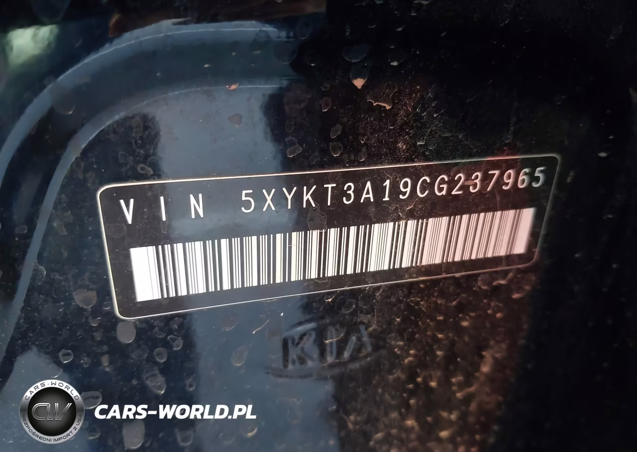 2012 Kia Sorento Lx VIN:5XYKT3A19CG237965 - 9