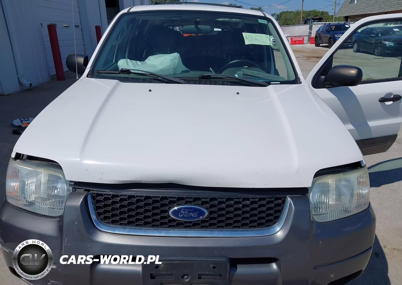 2004 Ford Escape Xlt VIN:1FMCU93134KA49340 - 10