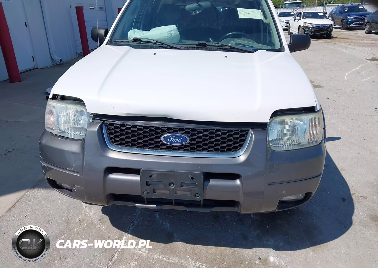 2004 Ford Escape Xlt VIN:1FMCU93134KA49340 - 12