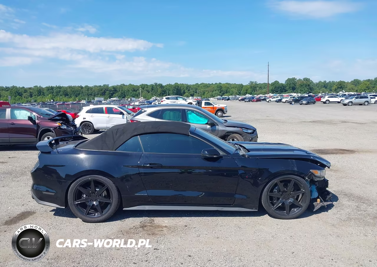2017 Ford Mustang Gt Premium VIN:1FATP8FF4H5227991 - 14