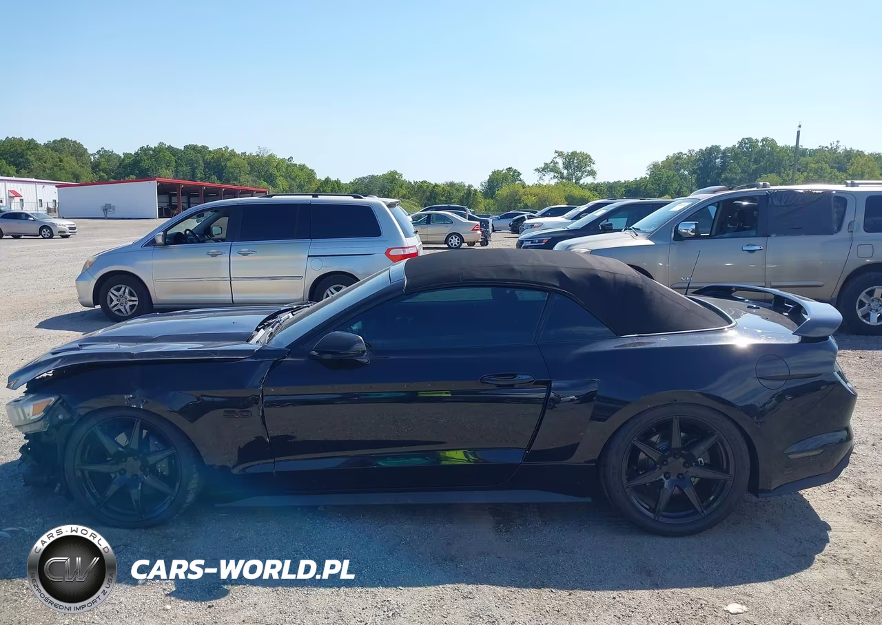 2017 Ford Mustang Gt Premium VIN:1FATP8FF4H5227991 - 15