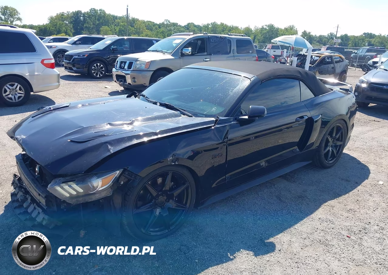2017 Ford Mustang Gt Premium VIN:1FATP8FF4H5227991 - 2