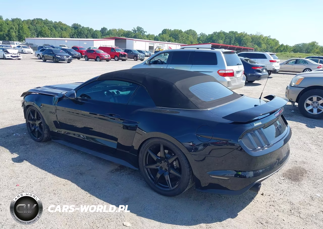 2017 Ford Mustang Gt Premium VIN:1FATP8FF4H5227991 - 3