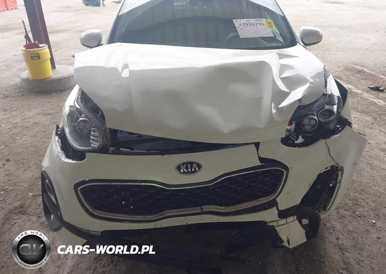 2020 Kia Sportage Lx VIN:KNDPMCAC1L7781958 - 10