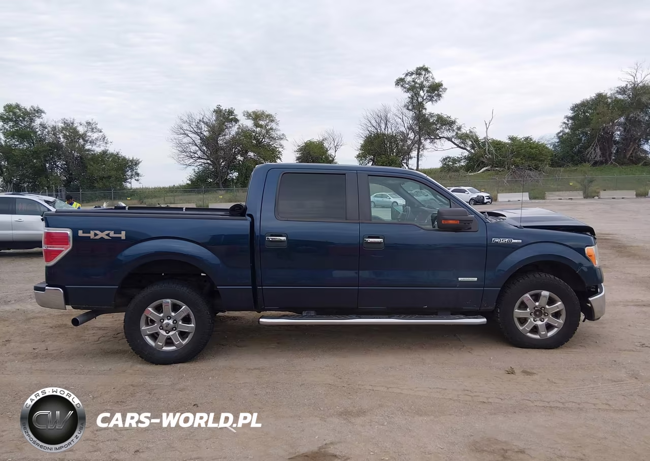 2014 Ford F-150 Xlt VIN:1FTFW1ET1EFB84953 - 13