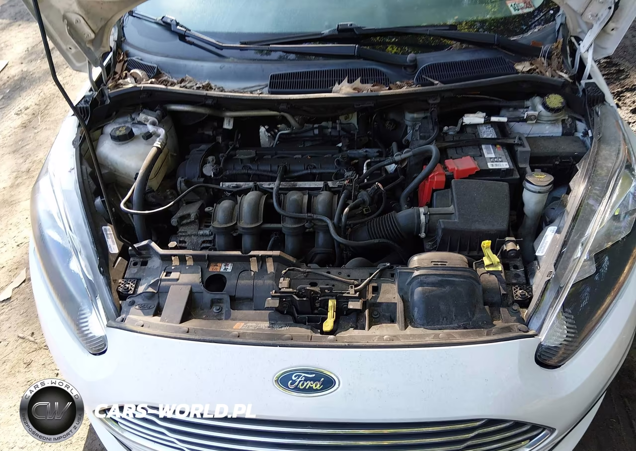 2016 Ford Fiesta S VIN:3FADP4AJXGM123183 - 10