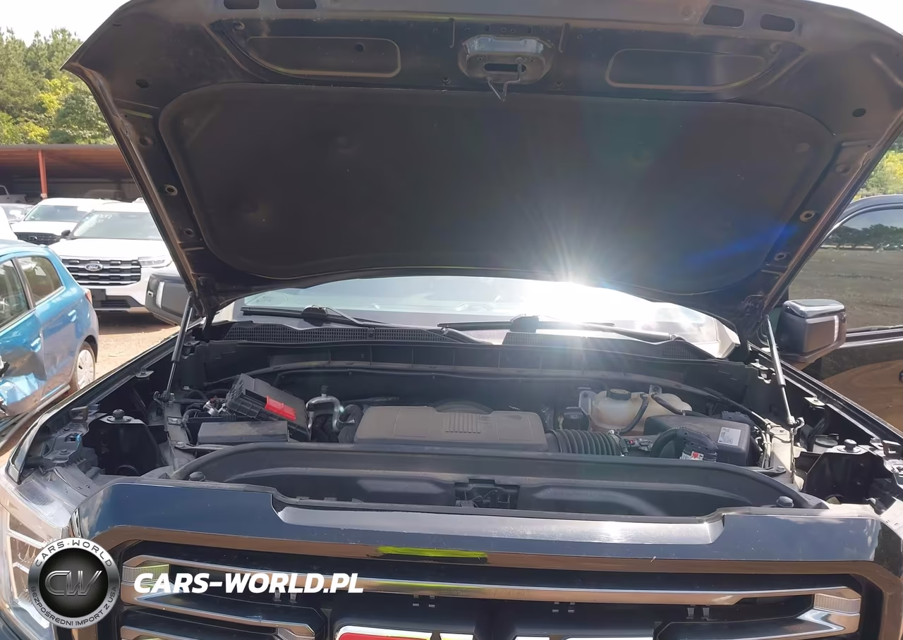 2021 GMC Sierra 1500 4Wd Short Box At4 VIN:3GTP9EEL8MG422488 - 10