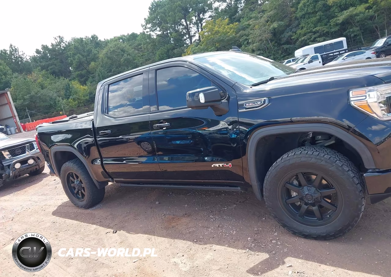 2021 GMC Sierra 1500 4Wd Short Box At4 VIN:3GTP9EEL8MG422488 - 12