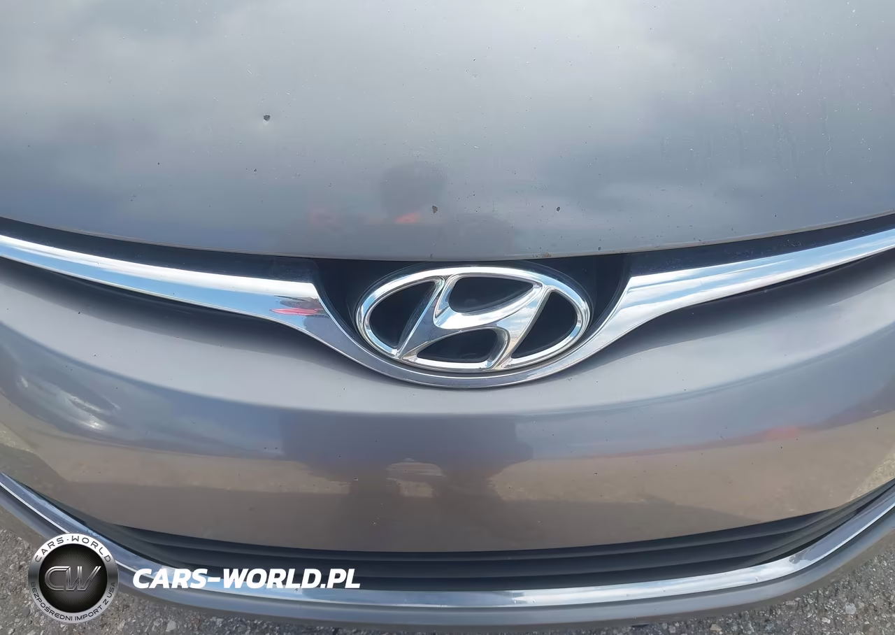 2014 Hyundai Elantra Se VIN:5NPDH4AE6EH499456 - 6