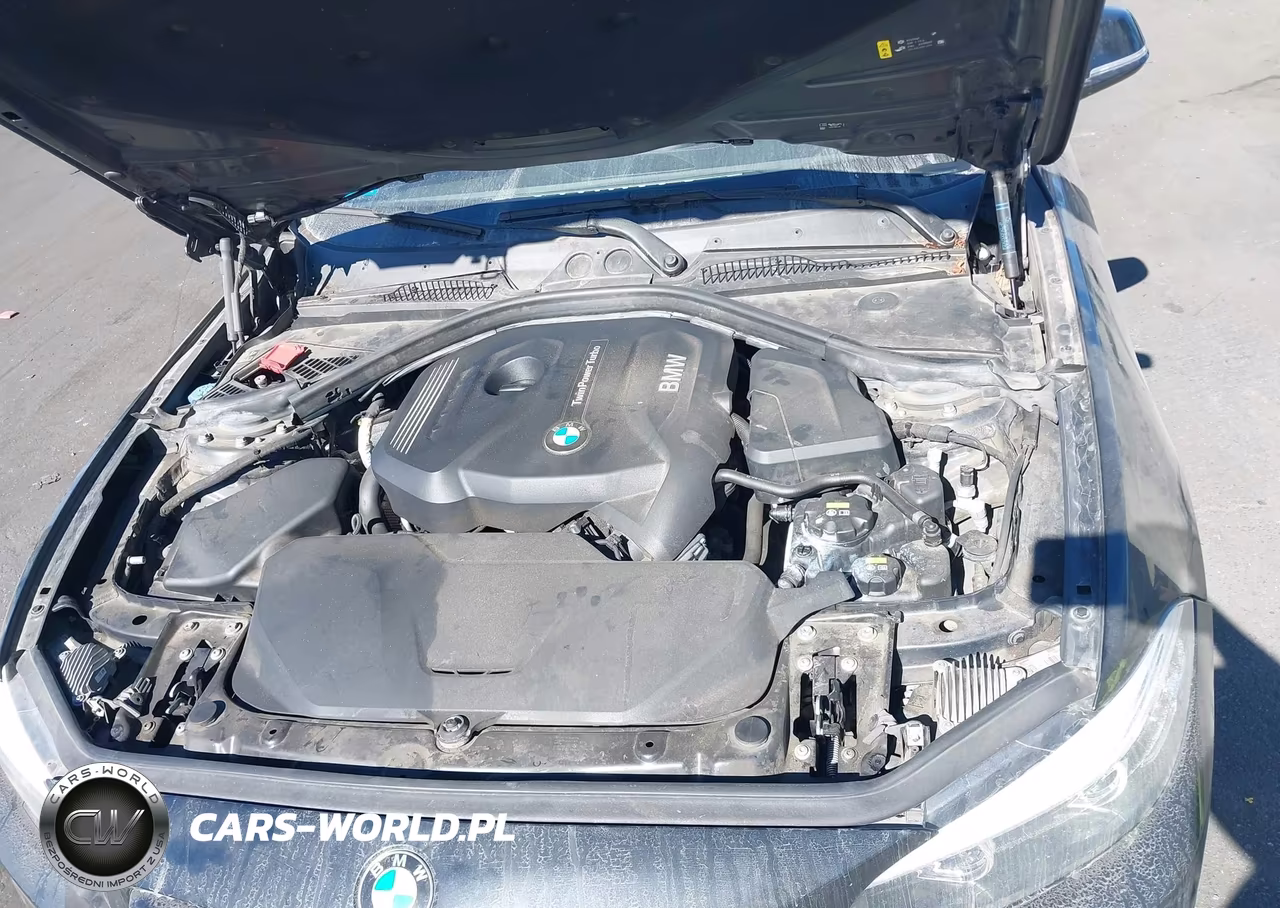 2018 BMW 230I VIN:WBA2J1C54JVD09347 - 10
