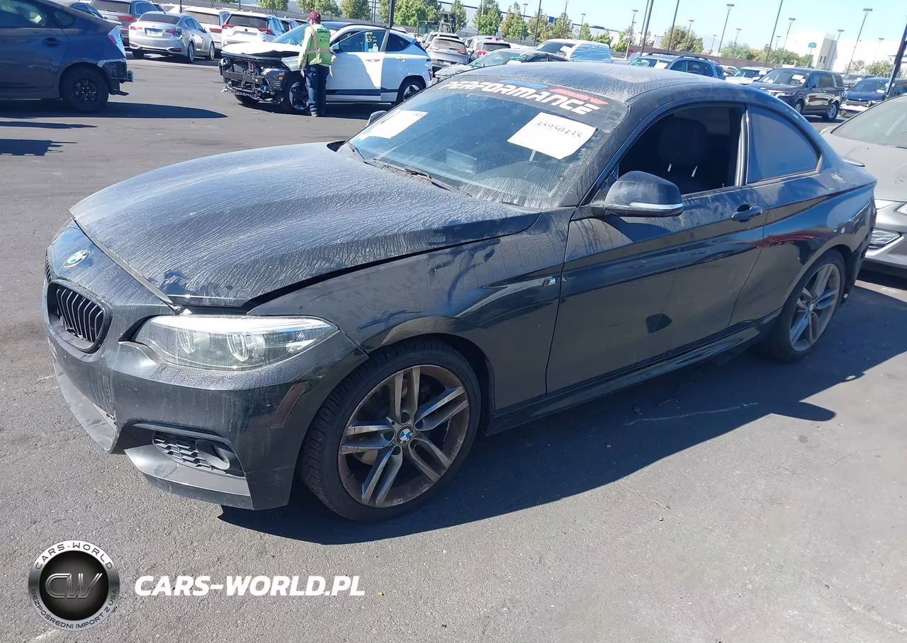 2018 BMW 230I VIN:WBA2J1C54JVD09347 - 2