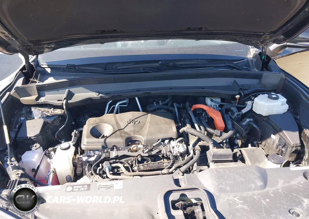 2024 Toyota 4 Wheel Dr VIN:5TDACAB59RS006996 - 10