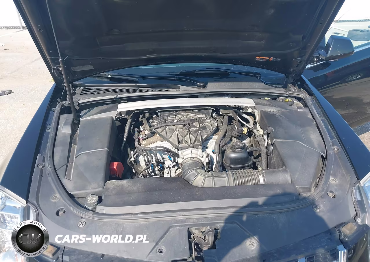 2013 Cadillac Cts Performance VIN:1G6DL1E35D0111525 - 10