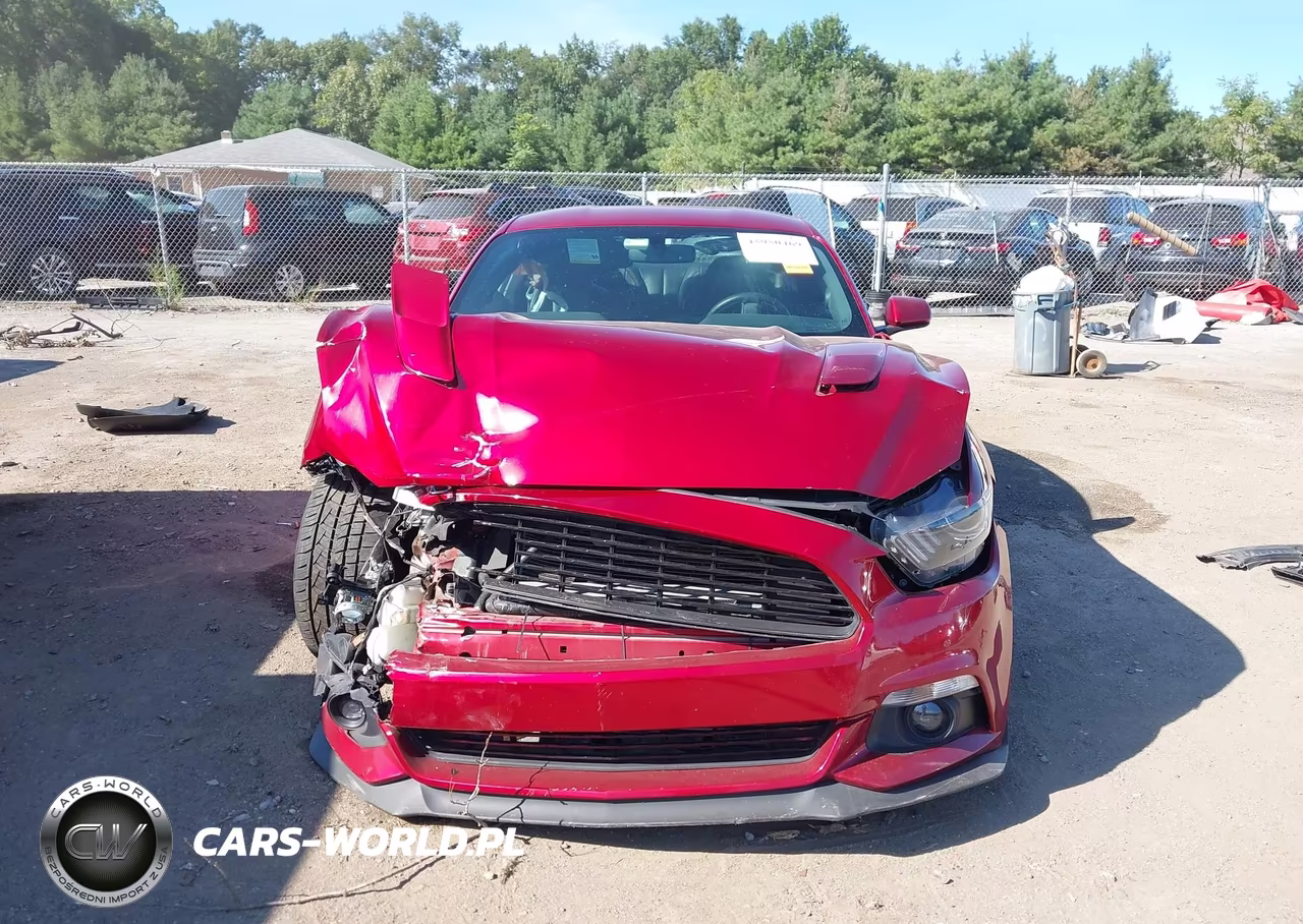 2016 Ford Mustang Gt VIN:1FA6P8CF5G5210830 - 13