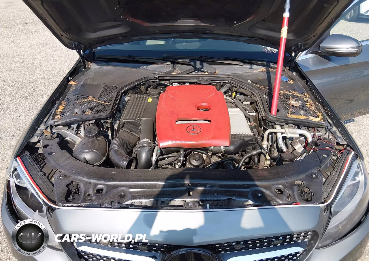 2017 Mercedes-Benz C 300 VIN:55SWF4JB1HU200347 - 10