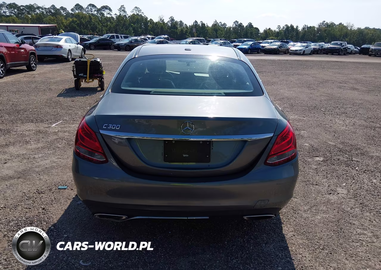 2017 Mercedes-Benz C 300 VIN:55SWF4JB1HU200347 - 16