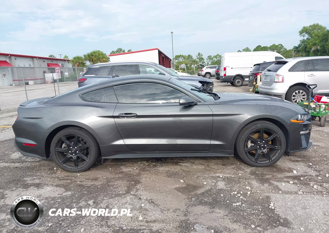 2020 Ford Mustang Ecoboost Premium Fastback VIN:1FA6P8TH7L5187255 - 12