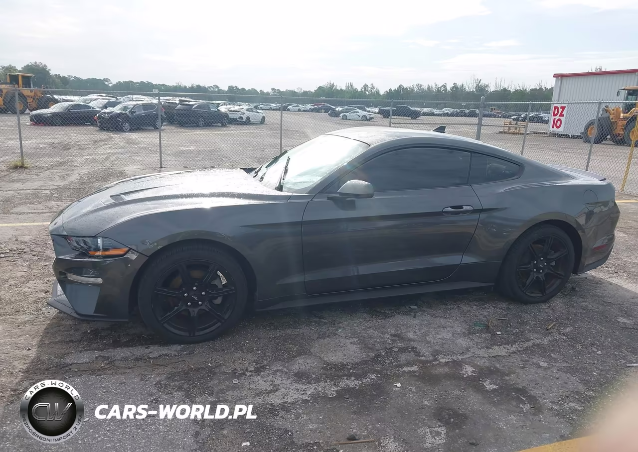 2020 Ford Mustang Ecoboost Premium Fastback VIN:1FA6P8TH7L5187255 - 13