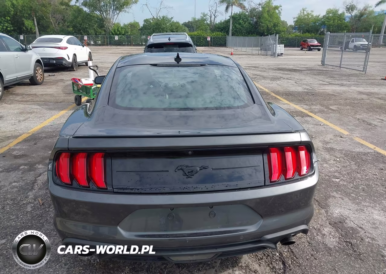 2020 Ford Mustang Ecoboost Premium Fastback VIN:1FA6P8TH7L5187255 - 15