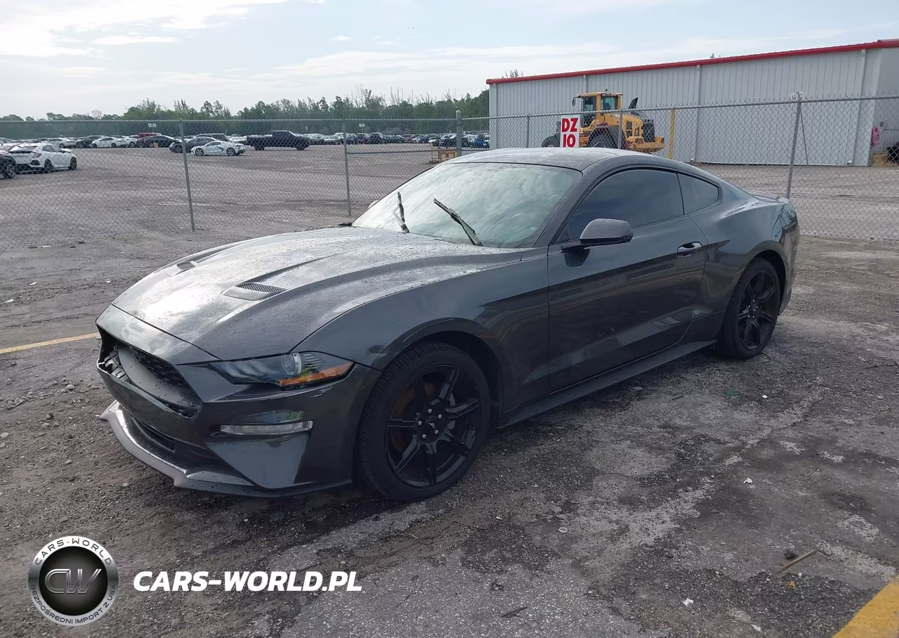 2020 Ford Mustang Ecoboost Premium Fastback VIN:1FA6P8TH7L5187255 - 2