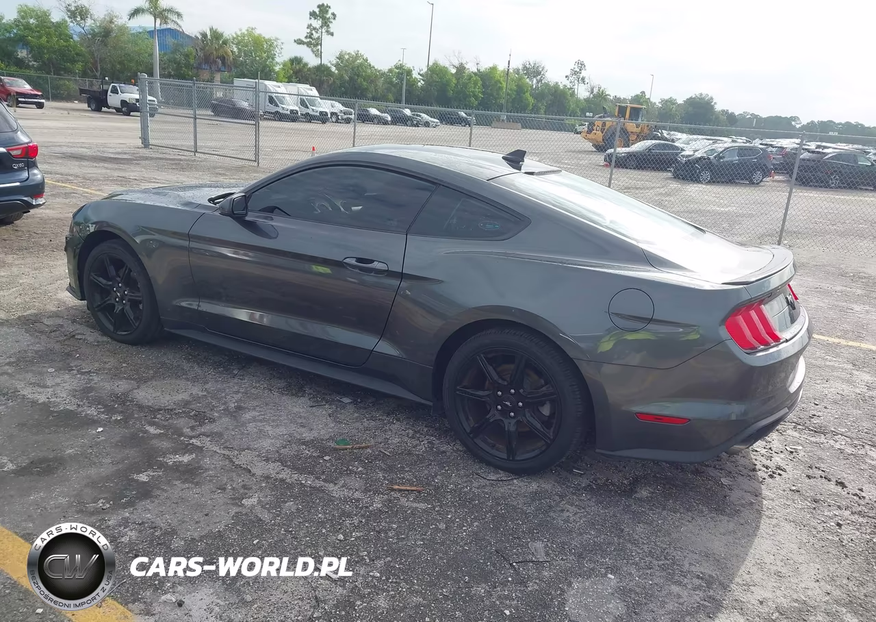 2020 Ford Mustang Ecoboost Premium Fastback VIN:1FA6P8TH7L5187255 - 3