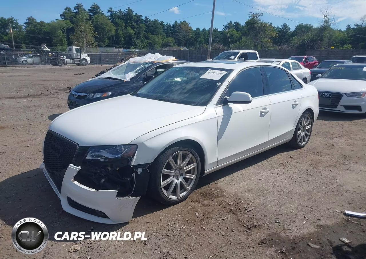 2011 Audi A4 2.0T Premium VIN:WAUFFAFL3BN055755 - 2