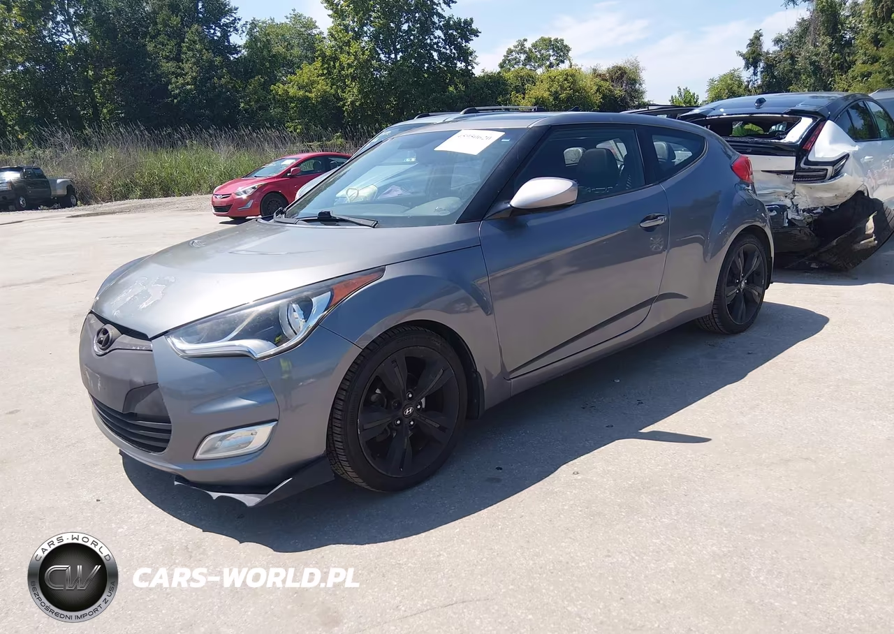 2013 Hyundai Veloster Base W-Black VIN:KMHTC6AD9DU102030 - 2