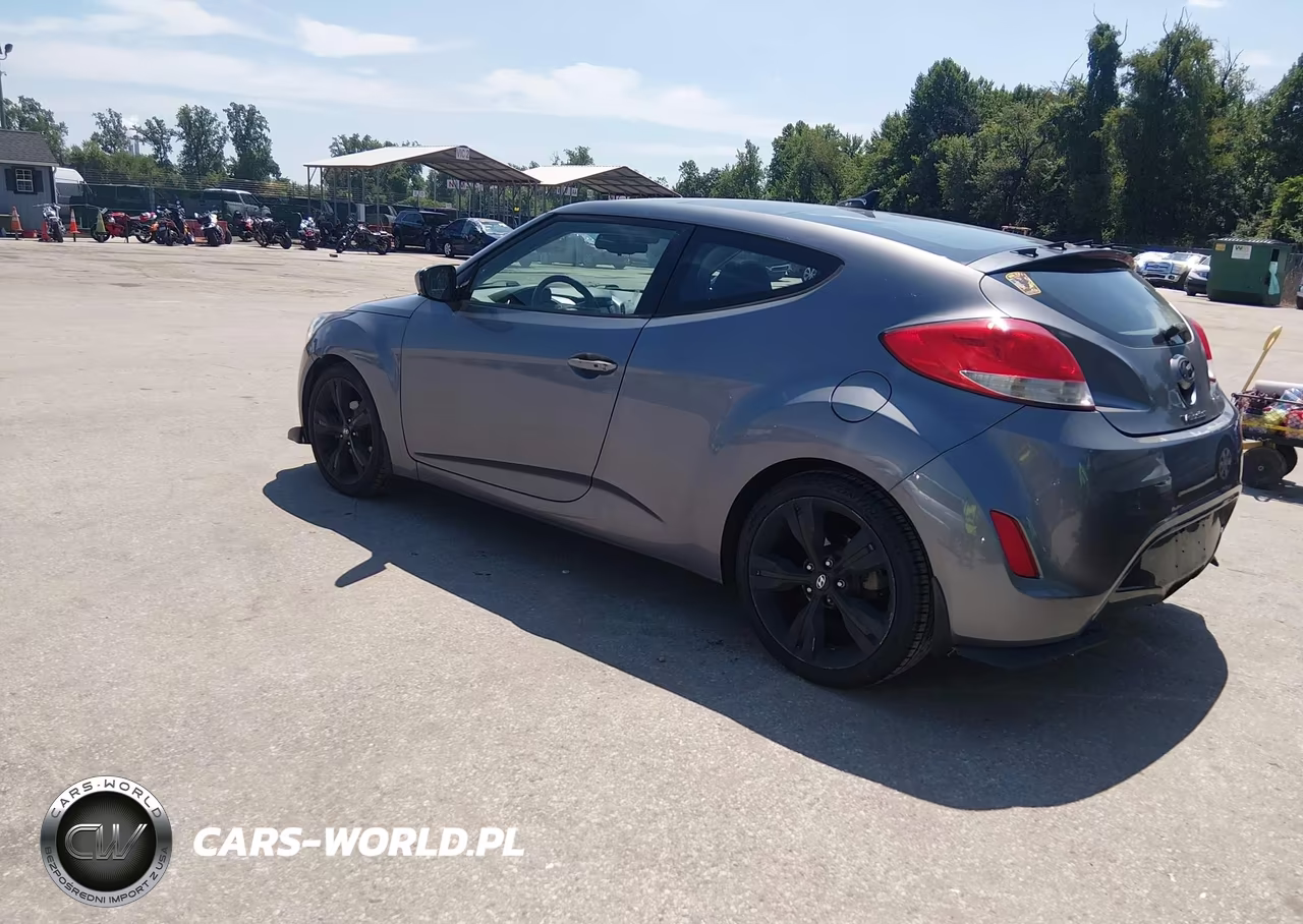 2013 Hyundai Veloster Base W-Black VIN:KMHTC6AD9DU102030 - 3