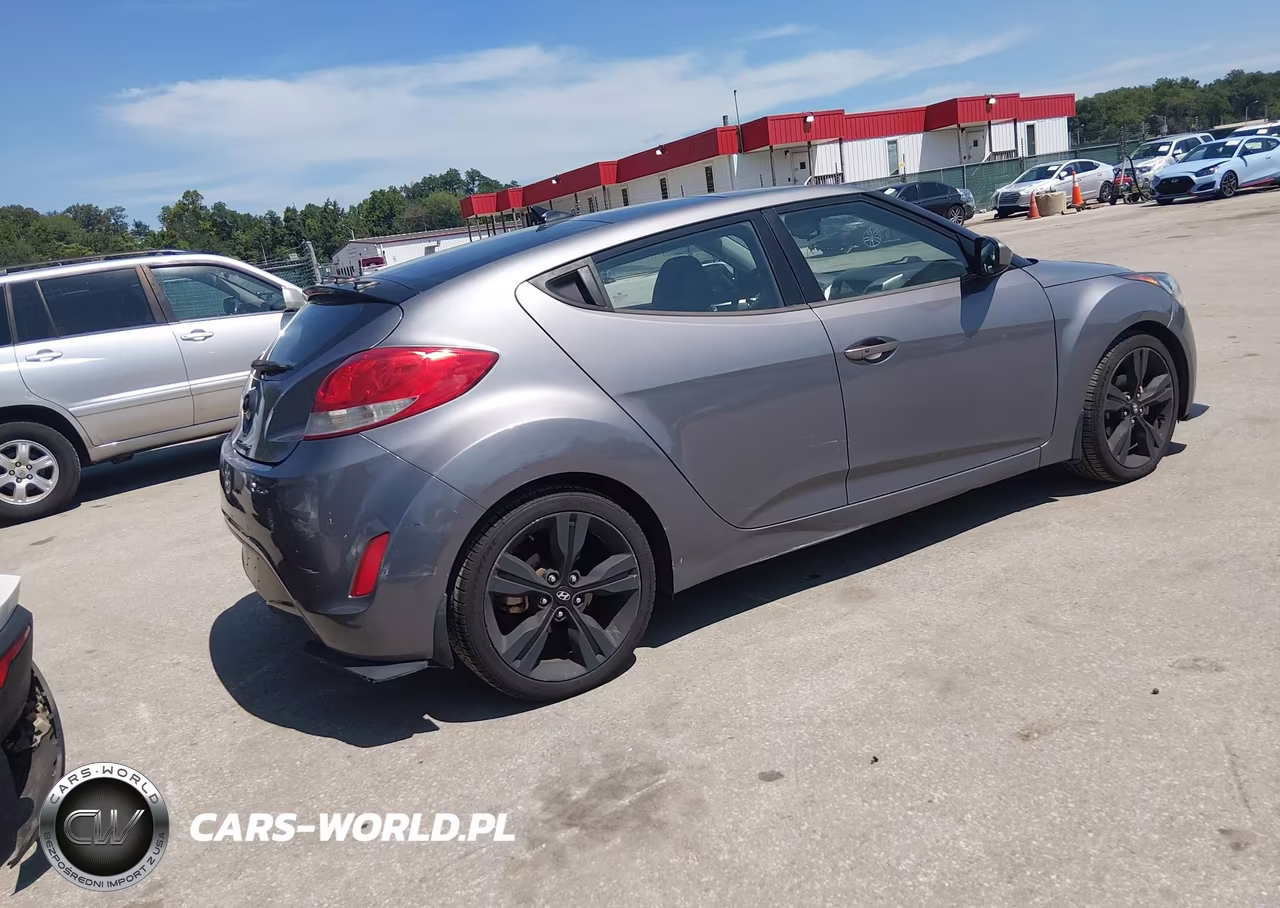 2013 Hyundai Veloster Base W-Black VIN:KMHTC6AD9DU102030 - 4