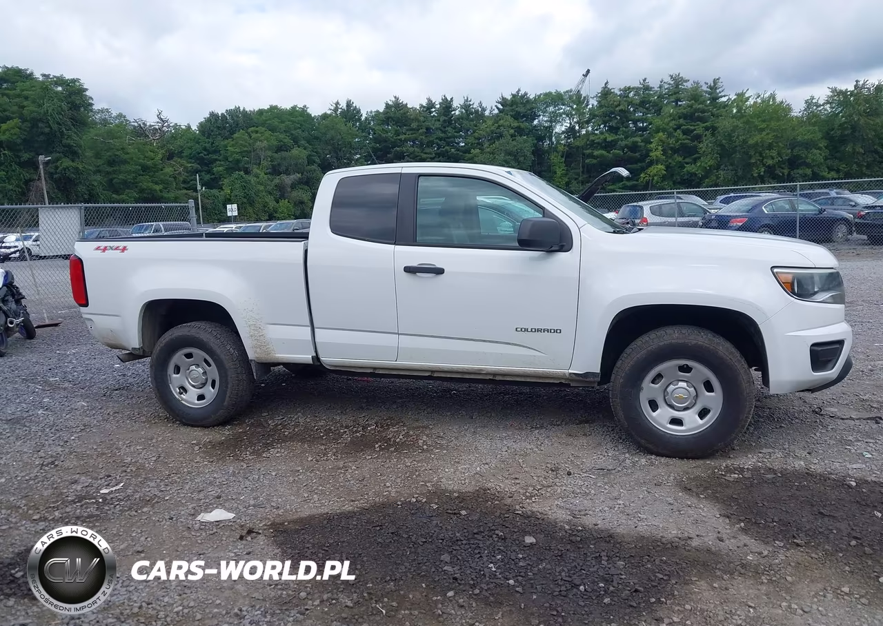2020 Chevrolet Colorado 4Wd Long Box Wt VIN:1GCHTBEN5L1102287 - 13