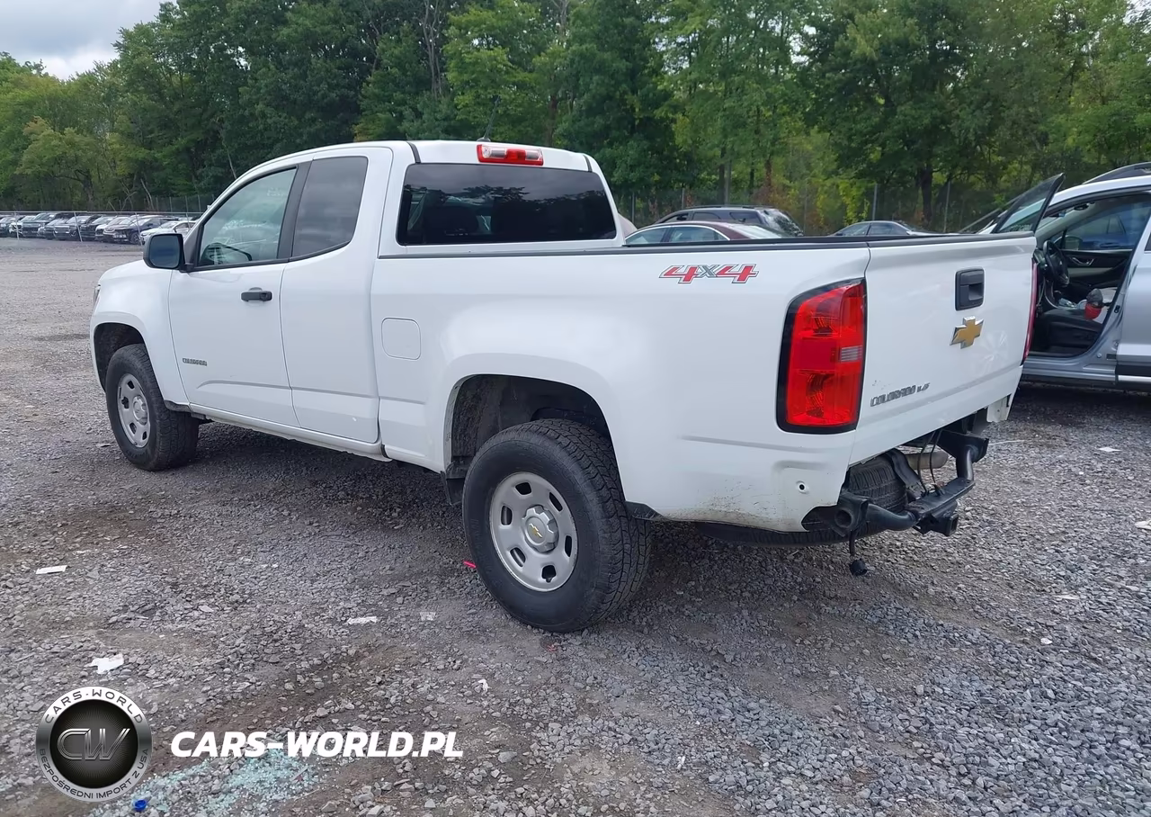 2020 Chevrolet Colorado 4Wd Long Box Wt VIN:1GCHTBEN5L1102287 - 3