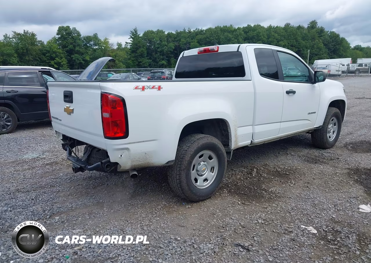 2020 Chevrolet Colorado 4Wd Long Box Wt VIN:1GCHTBEN5L1102287 - 4