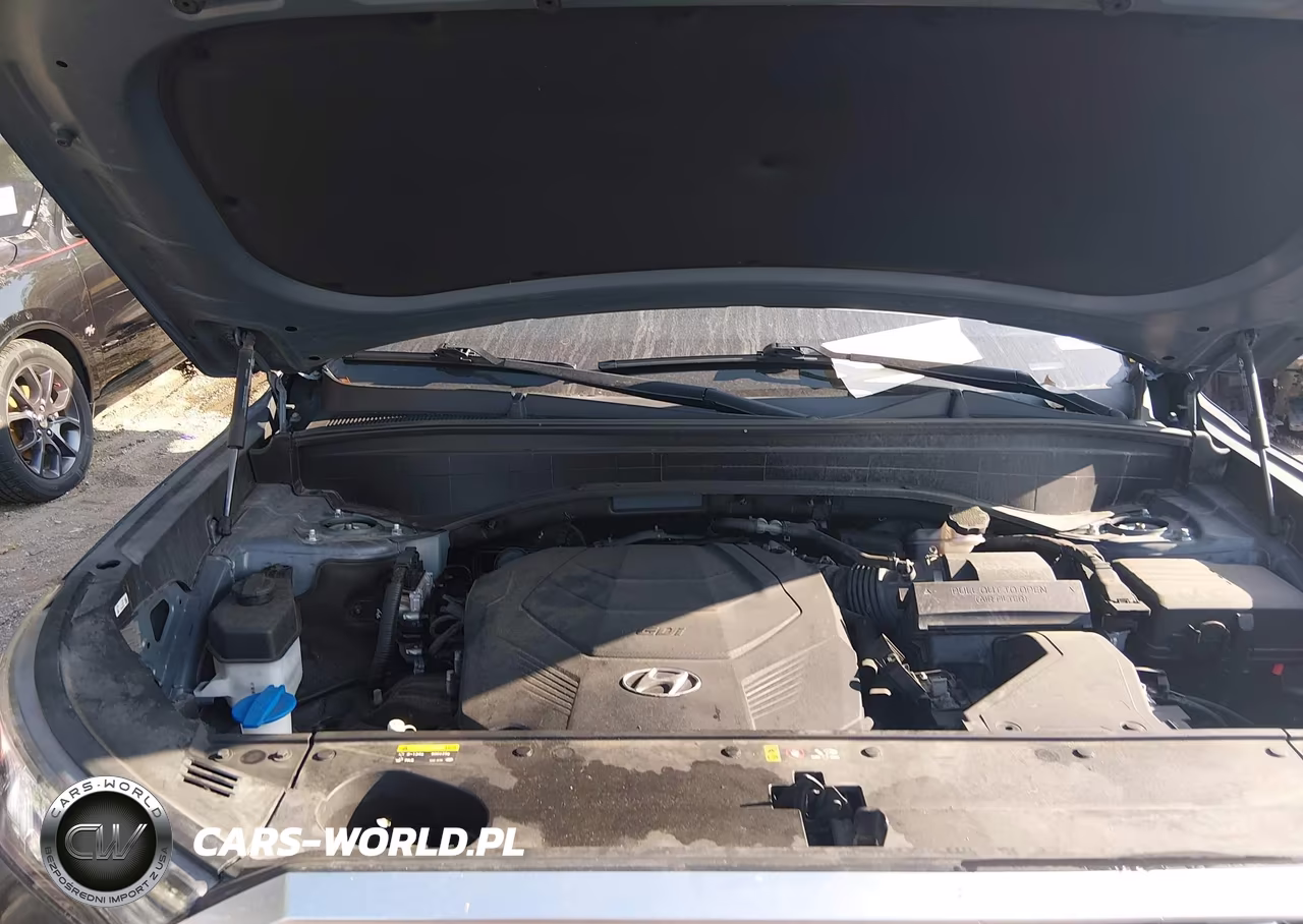 2020 Hyundai Palisade Sel VIN:KM8R44HE8LU063732 - 10