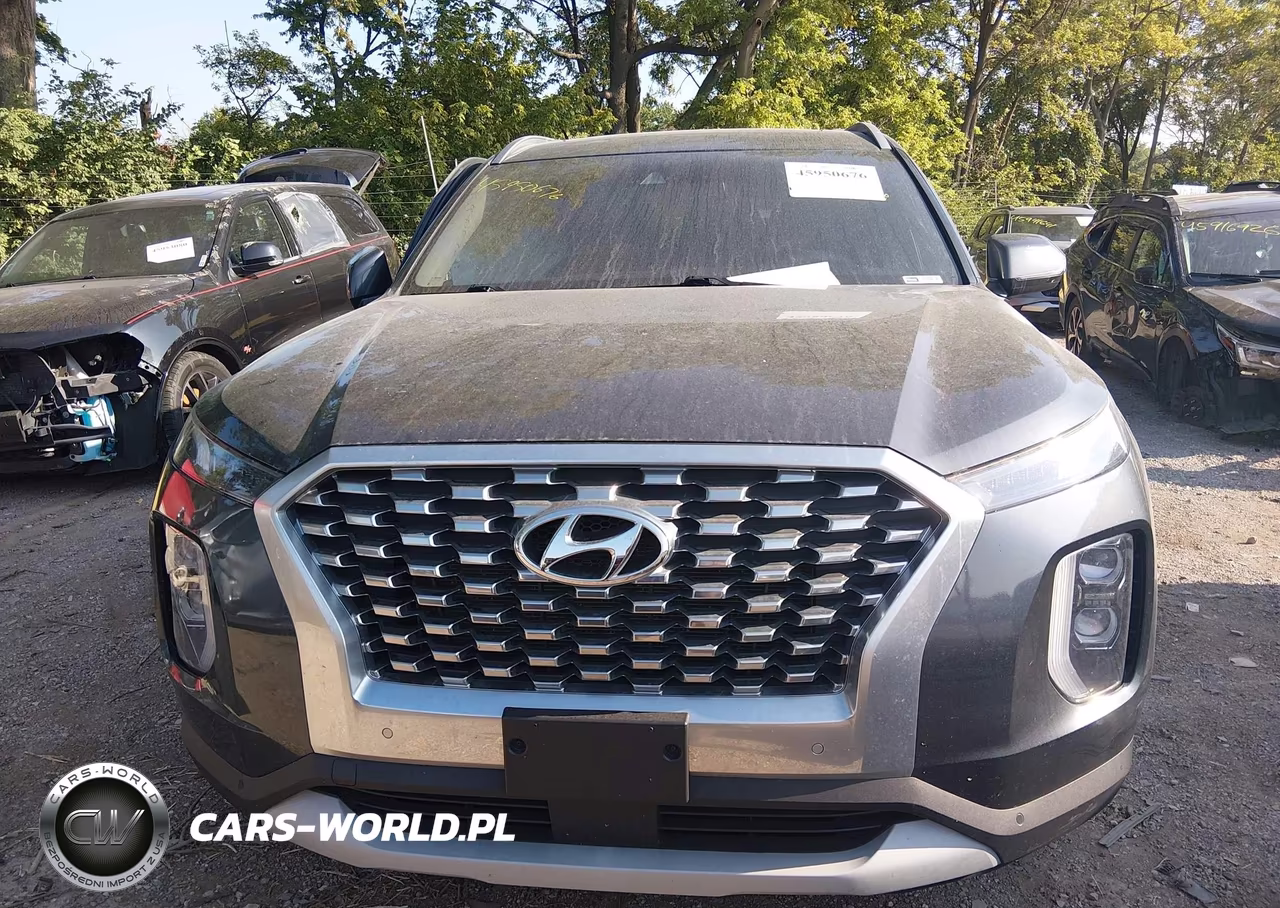 2020 Hyundai Palisade Sel VIN:KM8R44HE8LU063732 - 12