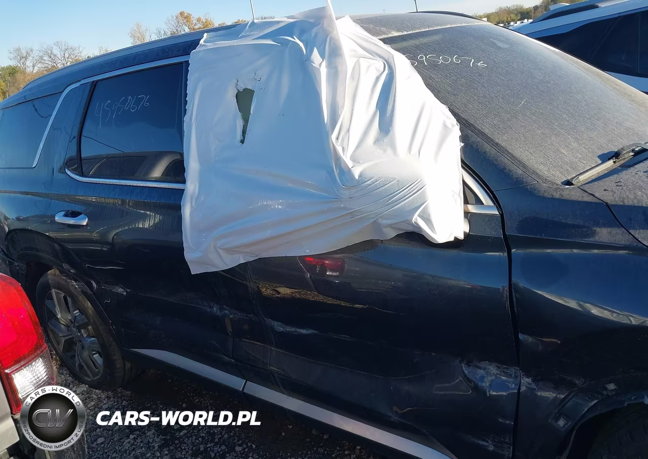 2020 Hyundai Palisade Sel VIN:KM8R44HE8LU063732 - 13
