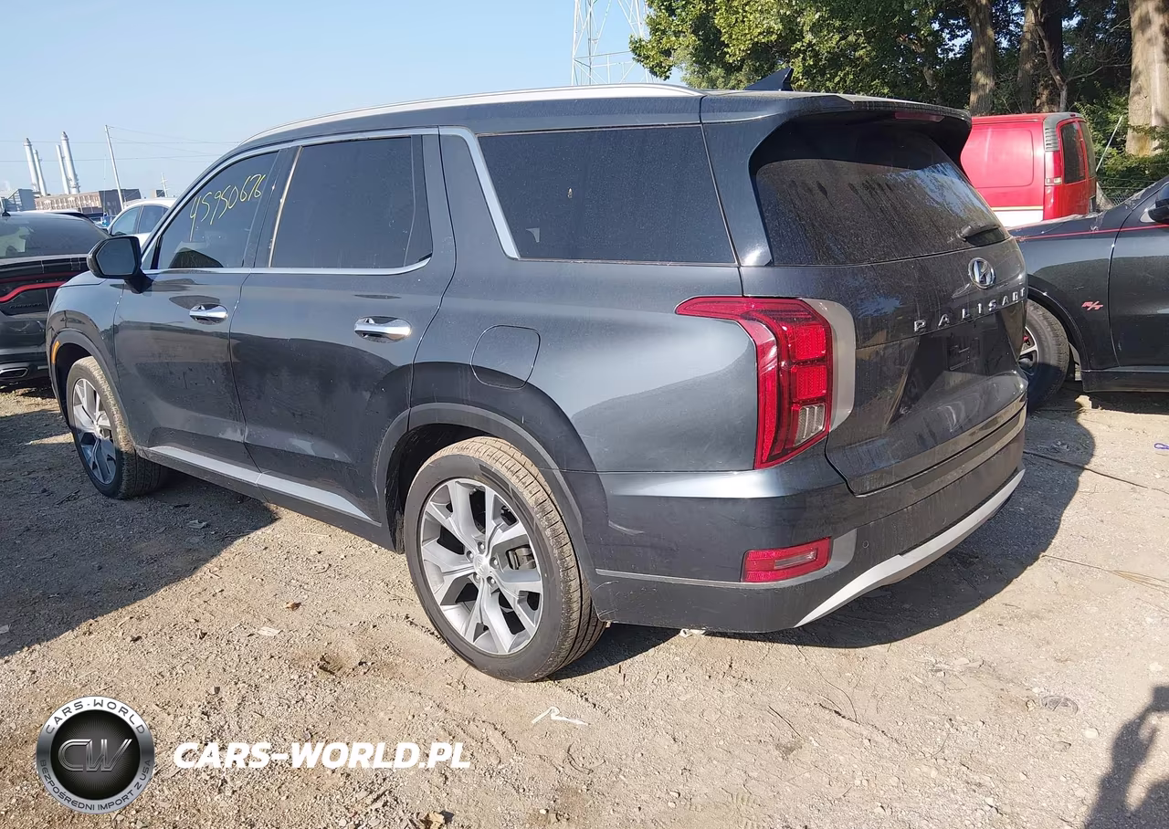 2020 Hyundai Palisade Sel VIN:KM8R44HE8LU063732 - 3