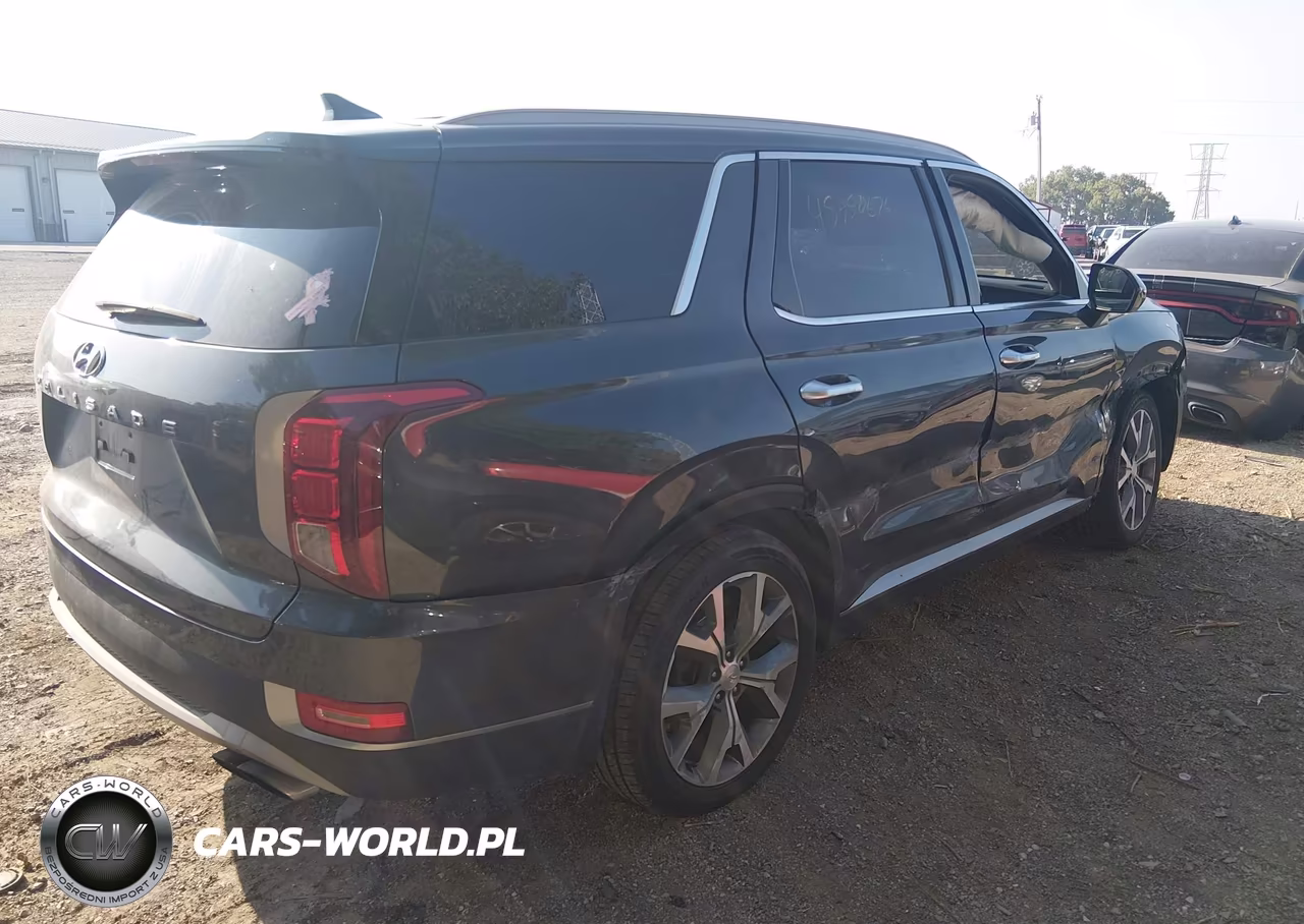 2020 Hyundai Palisade Sel VIN:KM8R44HE8LU063732 - 4