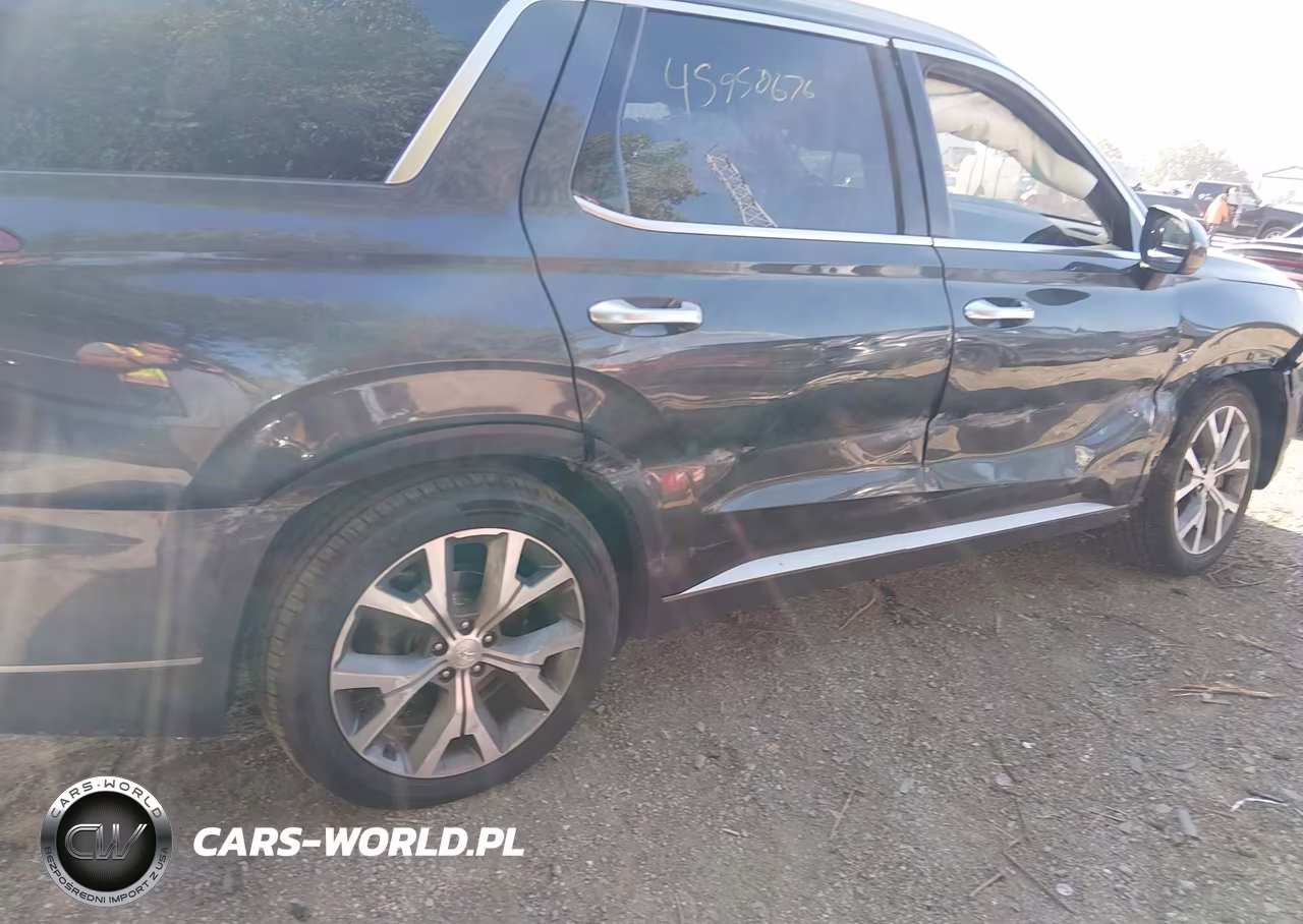 2020 Hyundai Palisade Sel VIN:KM8R44HE8LU063732 - 6