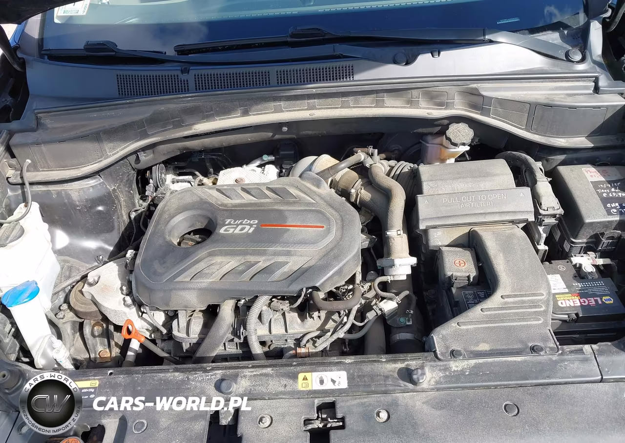 2017 Hyundai Santa Fe Sport 2.0T Ultimate VIN:5XYZWDLA0HG484890 - 10