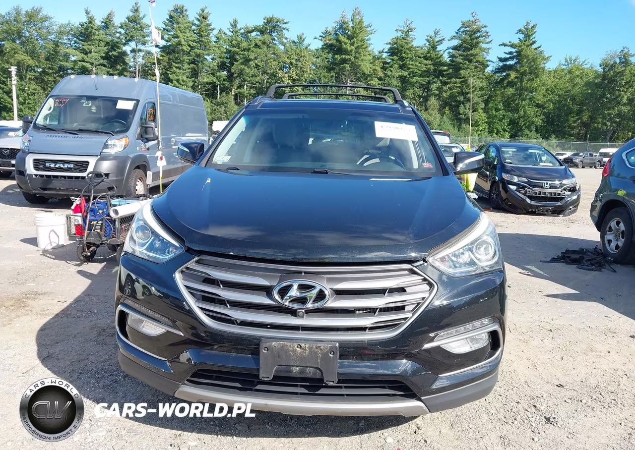 2017 Hyundai Santa Fe Sport 2.0T Ultimate VIN:5XYZWDLA0HG484890 - 12